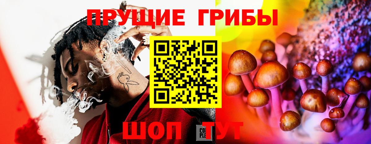 Псилоцибиновые грибы Psilocybine cubensis Аргун