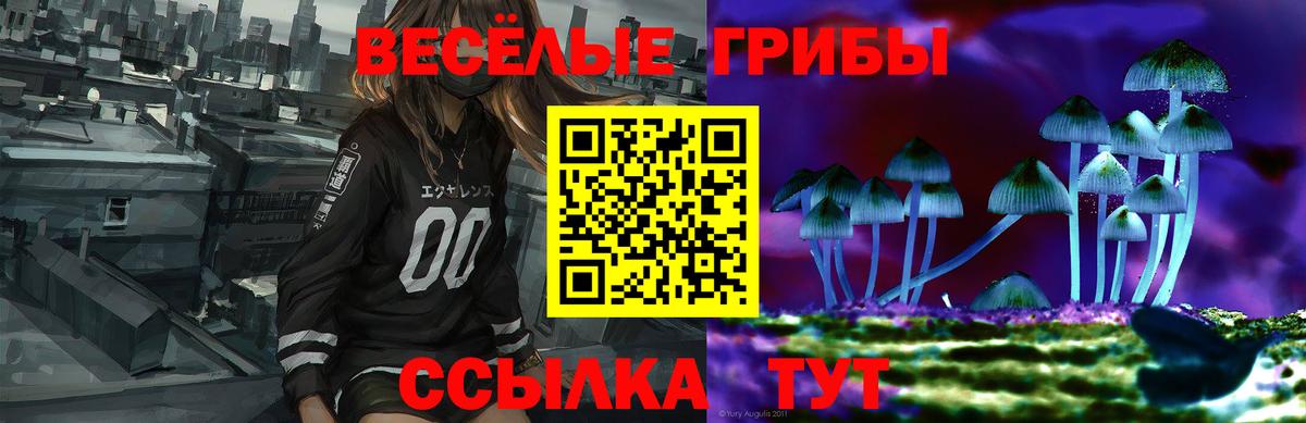 Псилоцибиновые грибы Psilocybine cubensis  Галлюциногенные грибы Magic Shrooms  Аргун  Вход с VPN 
